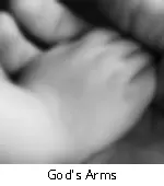 God's Arms