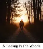A Healing In The Woods