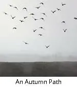 An Autumn Path