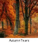 Autumn Tears