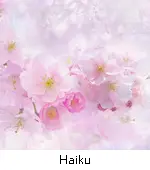 Haiku