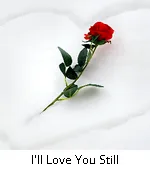 I'll love you still!
