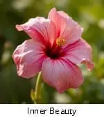 Inner Beauty