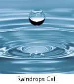 Raindrops Call