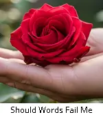 Should Words Fail Me