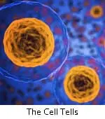 The Cell Tells