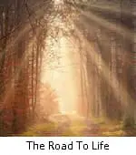 The Road To Life